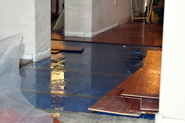 Professional Burst Pipe Cleanup technician working in Steuben, ME